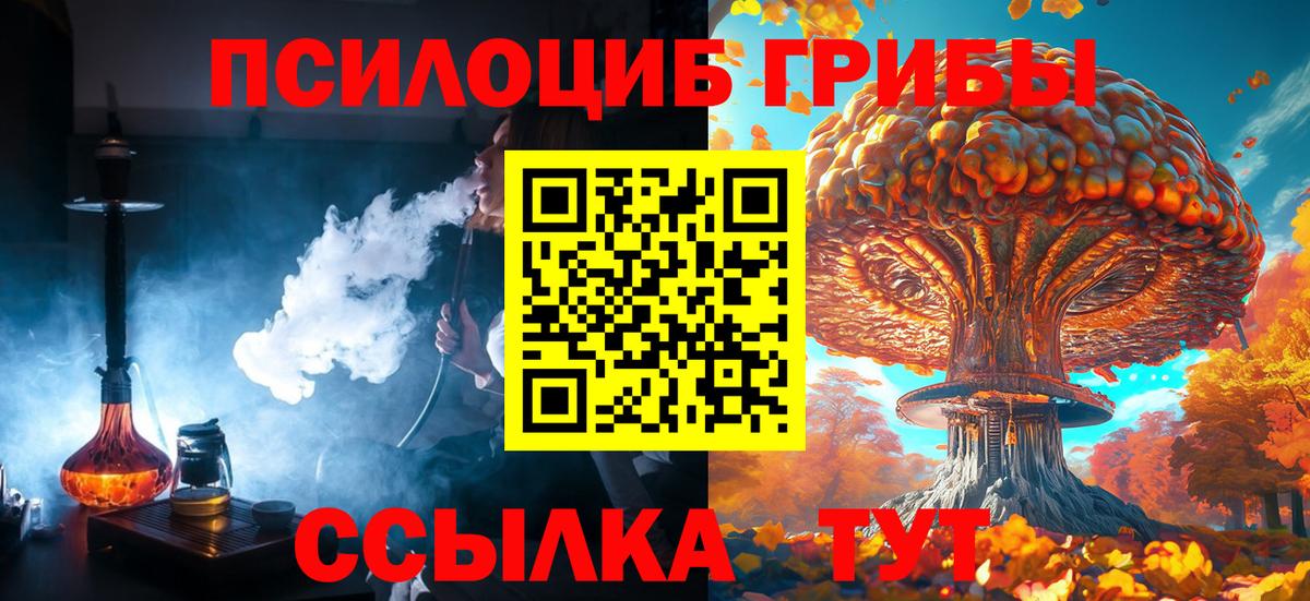 Псилоцибиновые грибы Magic Shrooms Александров