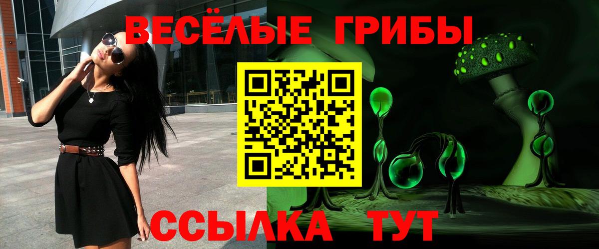 Александров  Галлюциногенные грибы мицелий  Псилоцибиновые грибы Psilocybine cubensis  Вход с VPN 